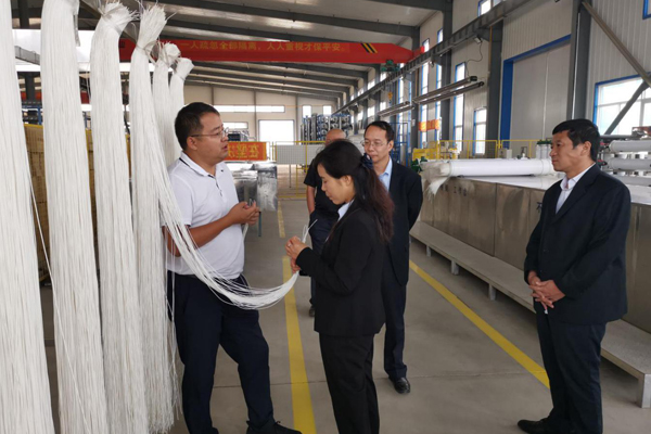 陜西航天建設集團有限公司總經理、黨委副書記謝明娟率隊赴遼寧一諾環保產業集團開展考察調研工作